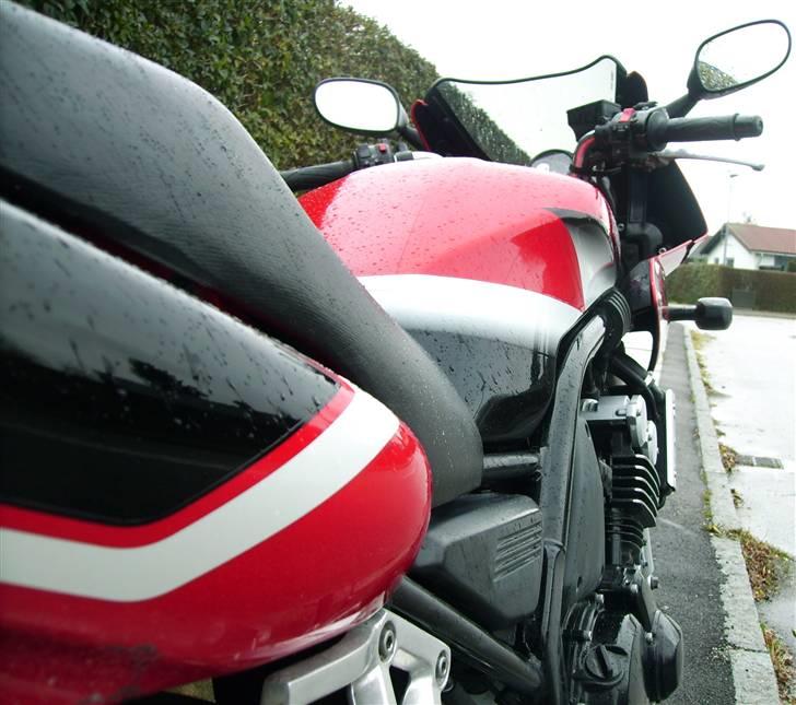 Yamaha FZS 600 Fazer S billede 8