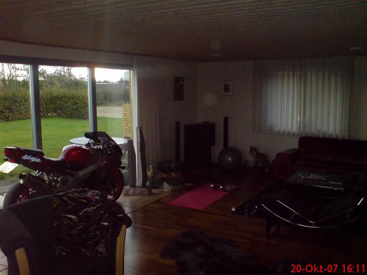 Kawasaki zx9r til salg billede 3