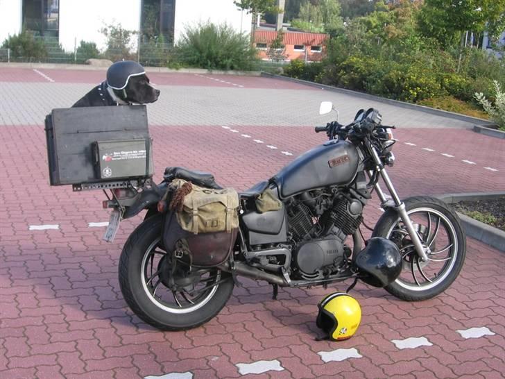 Yamaha xv 750 speciel billede 2