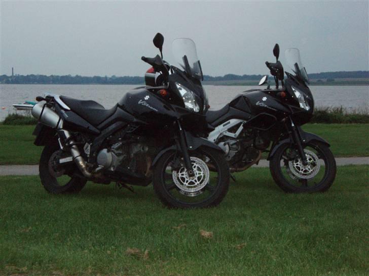 Suzuki DL 1000 V-Strom billede 1