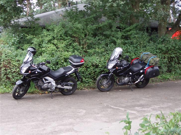 Suzuki DL 1000 V-Strom billede 2