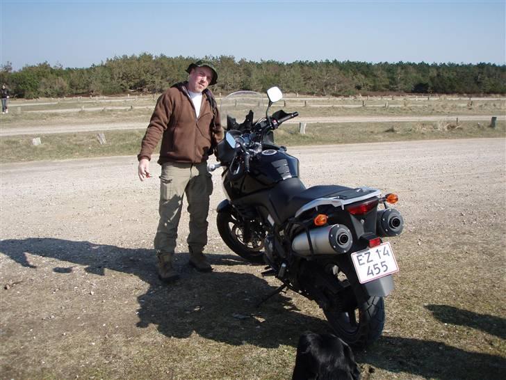 Suzuki DL 1000 V-Strom billede 4