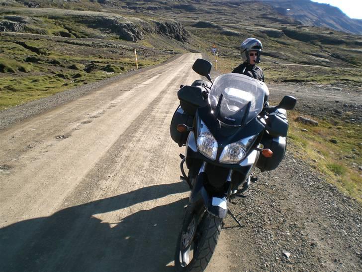 Suzuki DL 650 - inde på Island billede 8