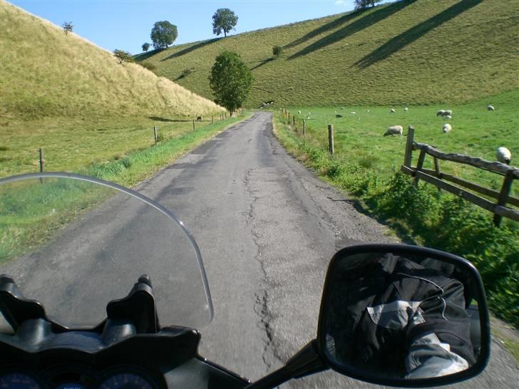 Suzuki DL 650 - Gennem England/York billede 9