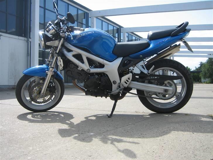 Suzuki SV650 billede 5