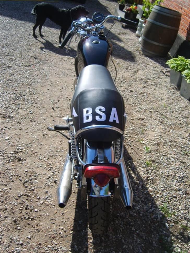 BSA A65 Lightning (Til Salg) billede 2