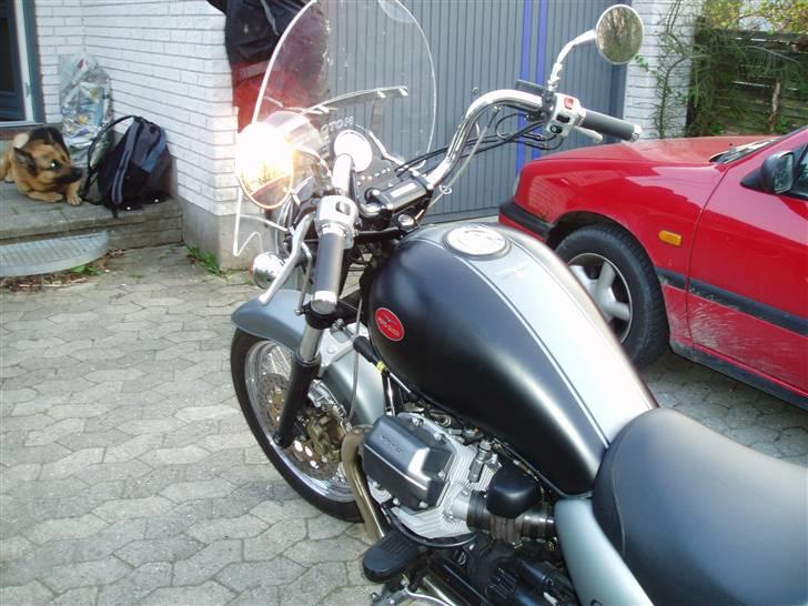 Moto Guzzi California, Jackal billede 4