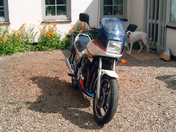 Yamaha xj900 billede 3