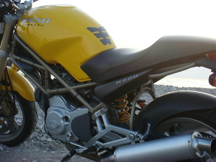 Ducati MONSTER billede 8