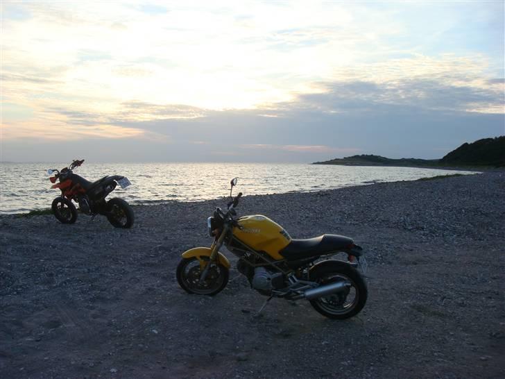 Ducati MONSTER - Lækker udsigt billede 9