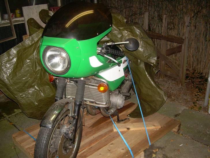 Suzuki GT750 Vandbøffel billede 1