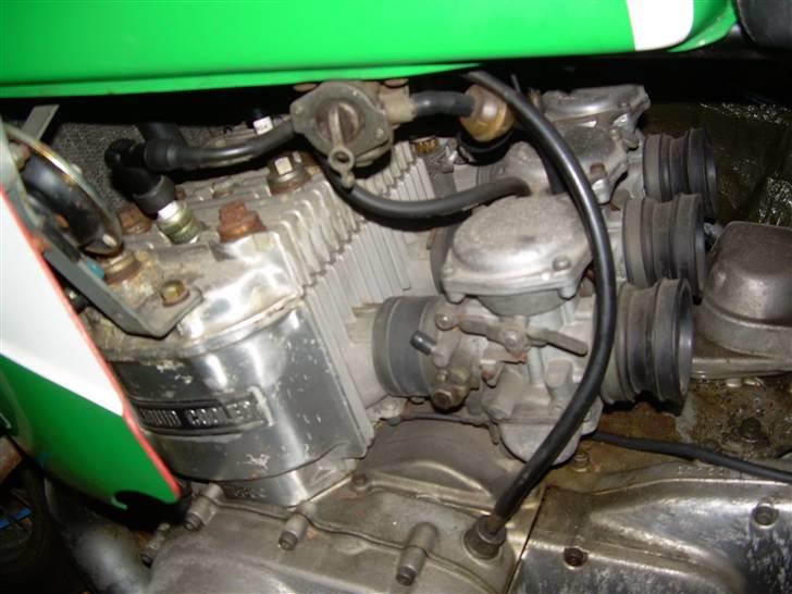 Suzuki GT750 Vandbøffel billede 4