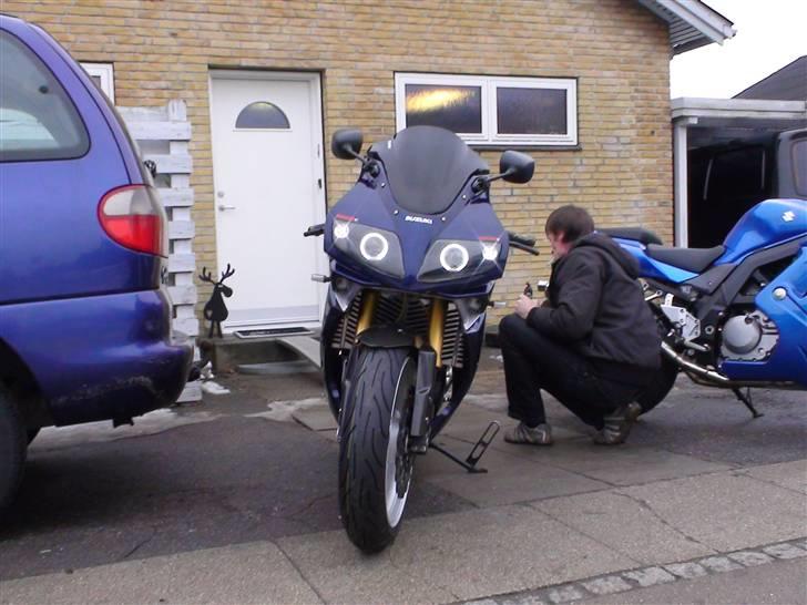 Suzuki SV 1000 S - vinter projekt   de linser billede 18