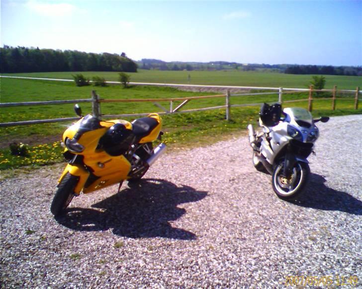 Ducati 900 SS ie - Ude og trille med en Kawa billede 6