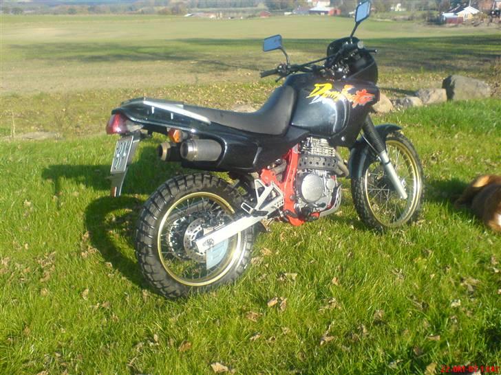 Honda nx 650 Dominator. billede 2