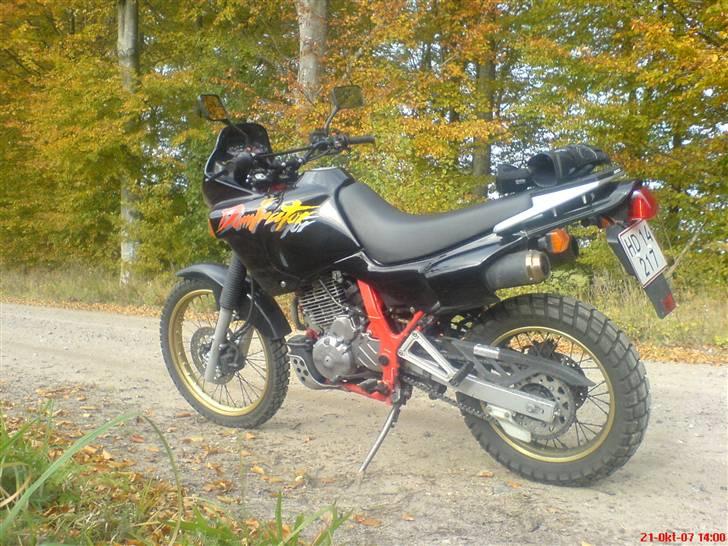 Honda nx 650 Dominator. billede 3