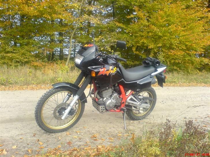 Honda nx 650 Dominator. billede 4