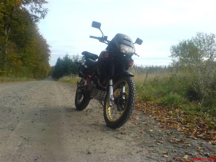 Honda nx 650 Dominator. billede 5