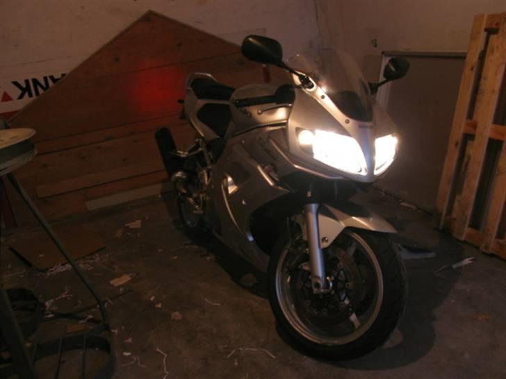 Suzuki SV 1000 S billede 8