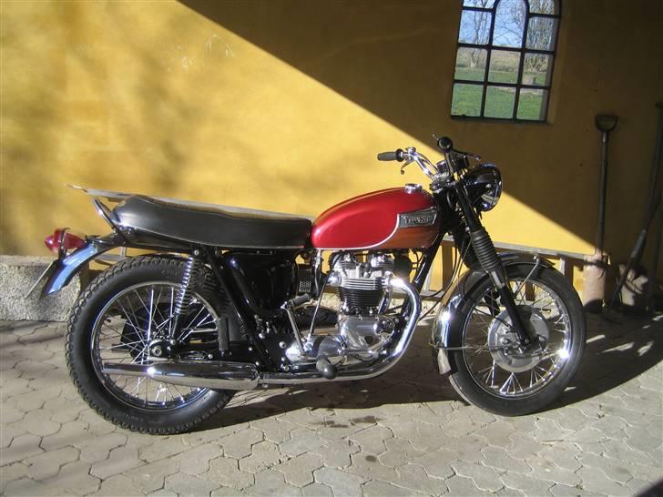 Triumph Tr6r billede 1