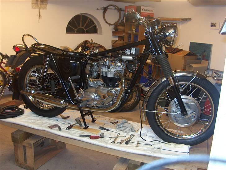 Triumph Tr6r billede 3