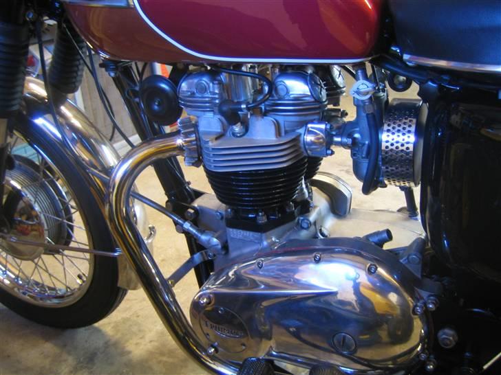 Triumph Tr6r billede 4