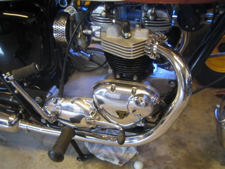 Triumph Tr6r billede 5