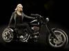 Harley Davidson Softtail