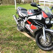 Honda fireblade