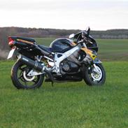 Honda CBR 900 Fireblade SC33