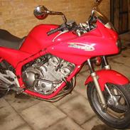 Yamaha XJ 600 S Diversion