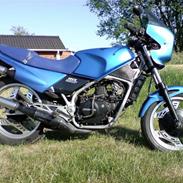 Honda MVX 250F