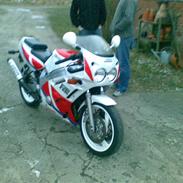 Yamaha fzr 600