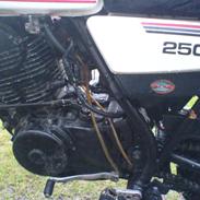 Yamaha Xt 250cc 