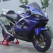 Kawasaki zx9r Ninja (SOLGT)
