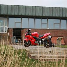 Suzuki SV 650 (SMADRET)