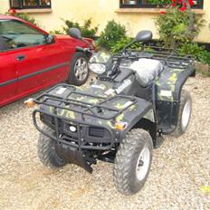 Lem Leopard 250