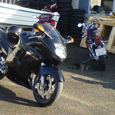 Honda CBR 1100XX Blackbird "Solgt"