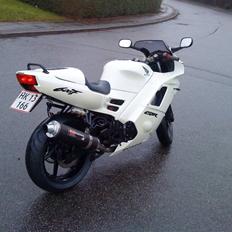 Honda cbr (TIL SALG)