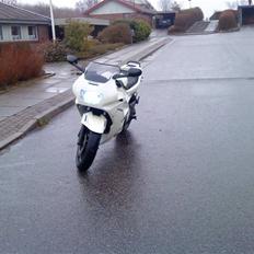 Honda cbr (TIL SALG)