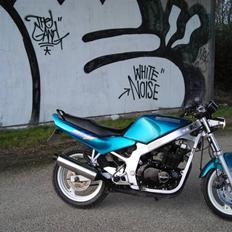 Suzuki gs500e *Projekt*