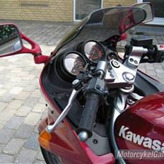 Kawasaki ZZR 250 CCM *SOLGT*