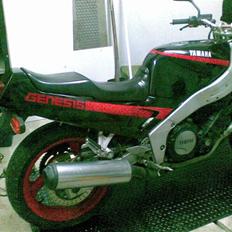 Yamaha fzr 1000 streetfighter 