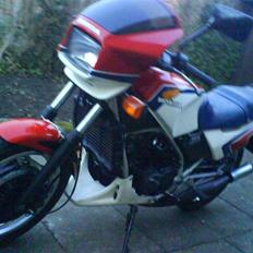 Honda MVX 250 F *skrottet*