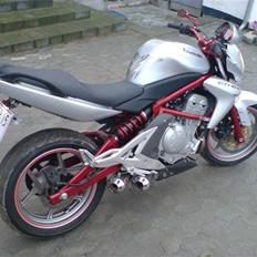 Kawasaki ER6n  meget død