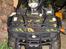 Lem Leopard 250