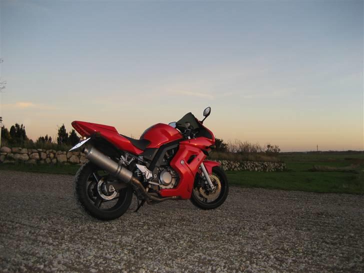 Suzuki SV 650 (SMADRET) billede 6