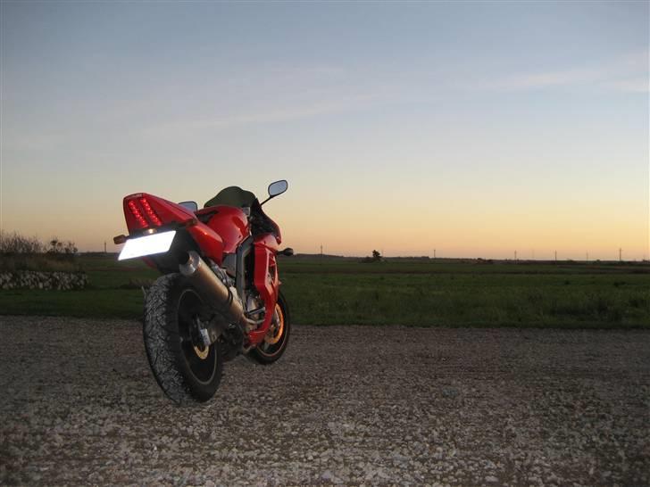 Suzuki SV 650 (SMADRET) billede 7