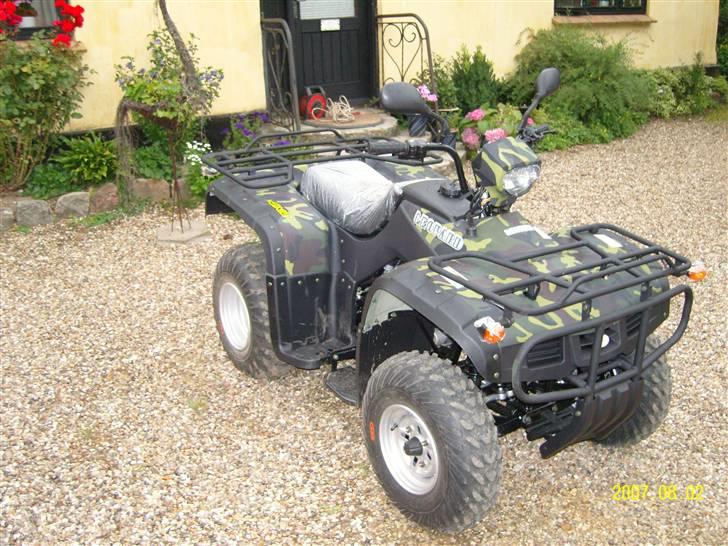 Lem Leopard 250 billede 3