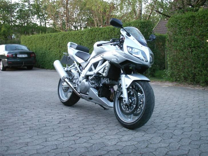 Suzuki Sv 1000s billede 4